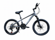 Bicicletă 20 inch gri metalizat, frână pe disc, 21 viteze, jante din aluminiu