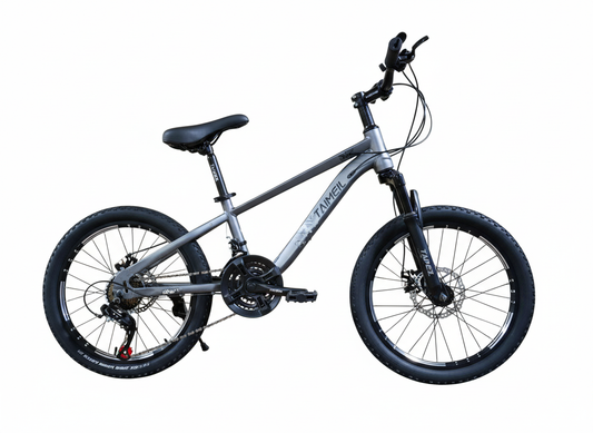 Bicicletă 20 inch gri metalizat, frână pe disc, 21 viteze, jante din aluminiu