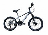 Bicicletă 20 inch gri metalizat, frână pe disc, 21 viteze, jante din aluminiu