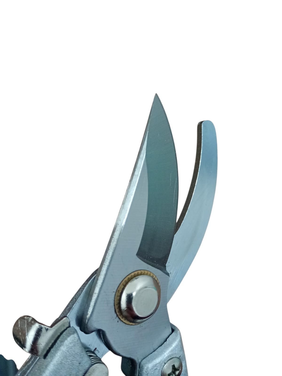 Foarfecă de Grădină pentru Tăiat Ramuri și Vie + Arc de Schimb