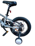 Bicicletă copii 16 inch gri metalizat cu frână pe disc și amortizor față