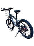 Bicicletă 20 inch gri metalizat, frână pe disc, 21 viteze, jante din aluminiu
