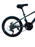 Bicicletă 20 inch gri metalizat, frână pe disc, 21 viteze, jante din aluminiu